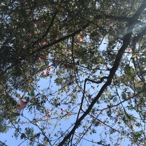 Meet your Posher, Nic